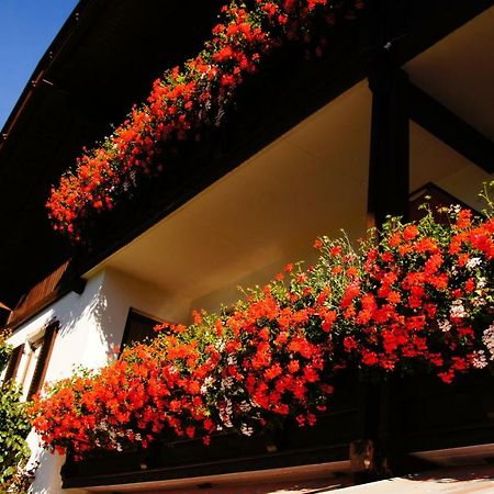 Anterselva di Sotto Pension Appartement Santl מראה חיצוני תמונה