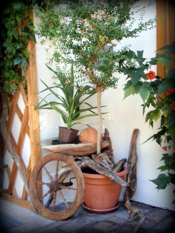 Anterselva di Sotto Pension Appartement Santl מראה חיצוני תמונה